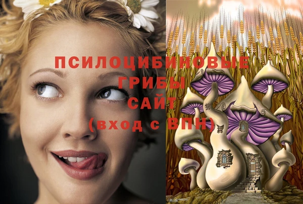 синтетический гашиш Алексин