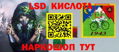 молекула духа Кингисепп