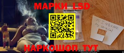 молекула духа Кингисепп
