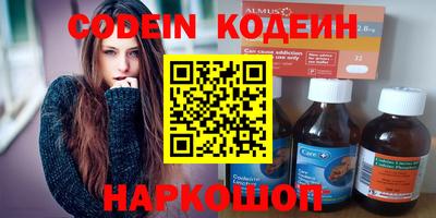 молекула духа Кингисепп