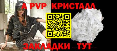 молекула духа Кингисепп