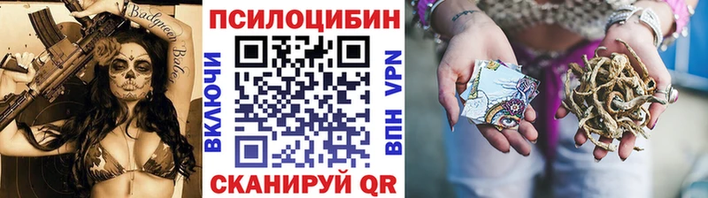 Псилоцибиновые грибы Magic Shrooms  купить   Клин 