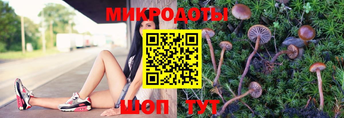 Галлюциногенные грибы MAGIC MUSHROOMS Клин